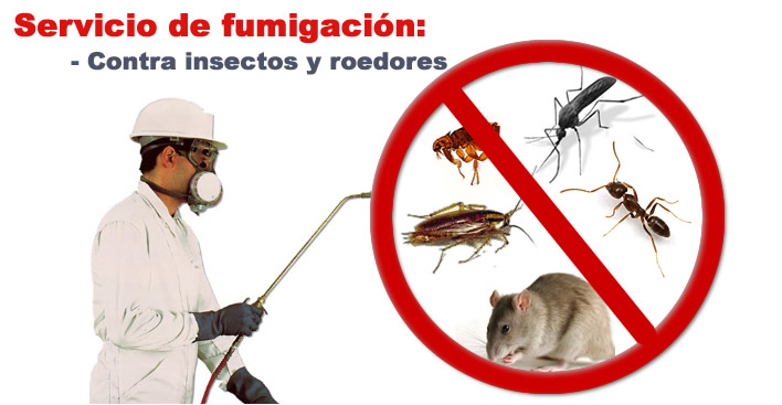 servicio-de-fumigacion